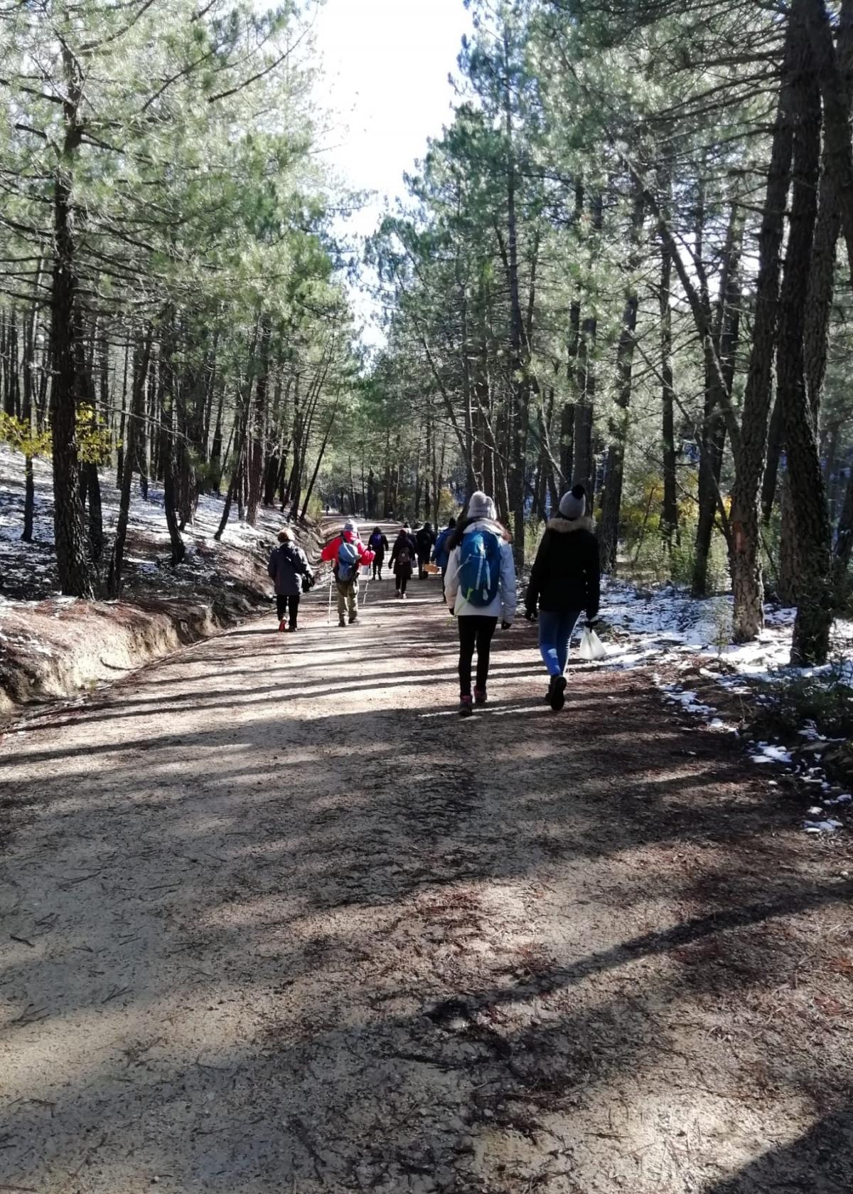 El Taller de Medio Ambiente de CCOO recorri el paraje de La Jarosa en plena Sierra de Guadarrama