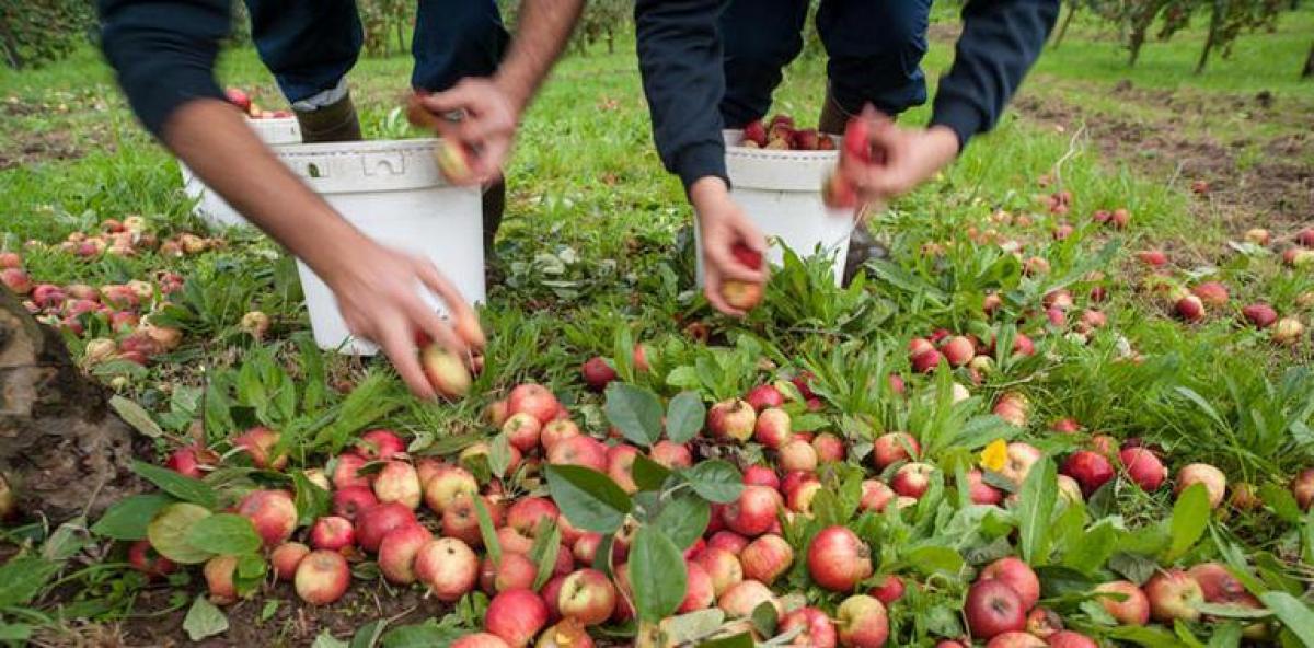 El desempleo subió en seis comunidades y bajó en once