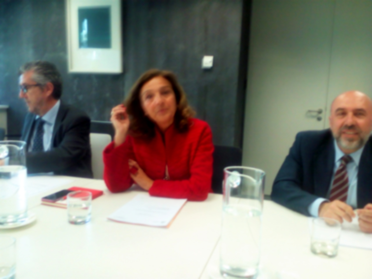 Carmen Vela, secretaria de Estado de Investigación, Desarrollo e Innovación