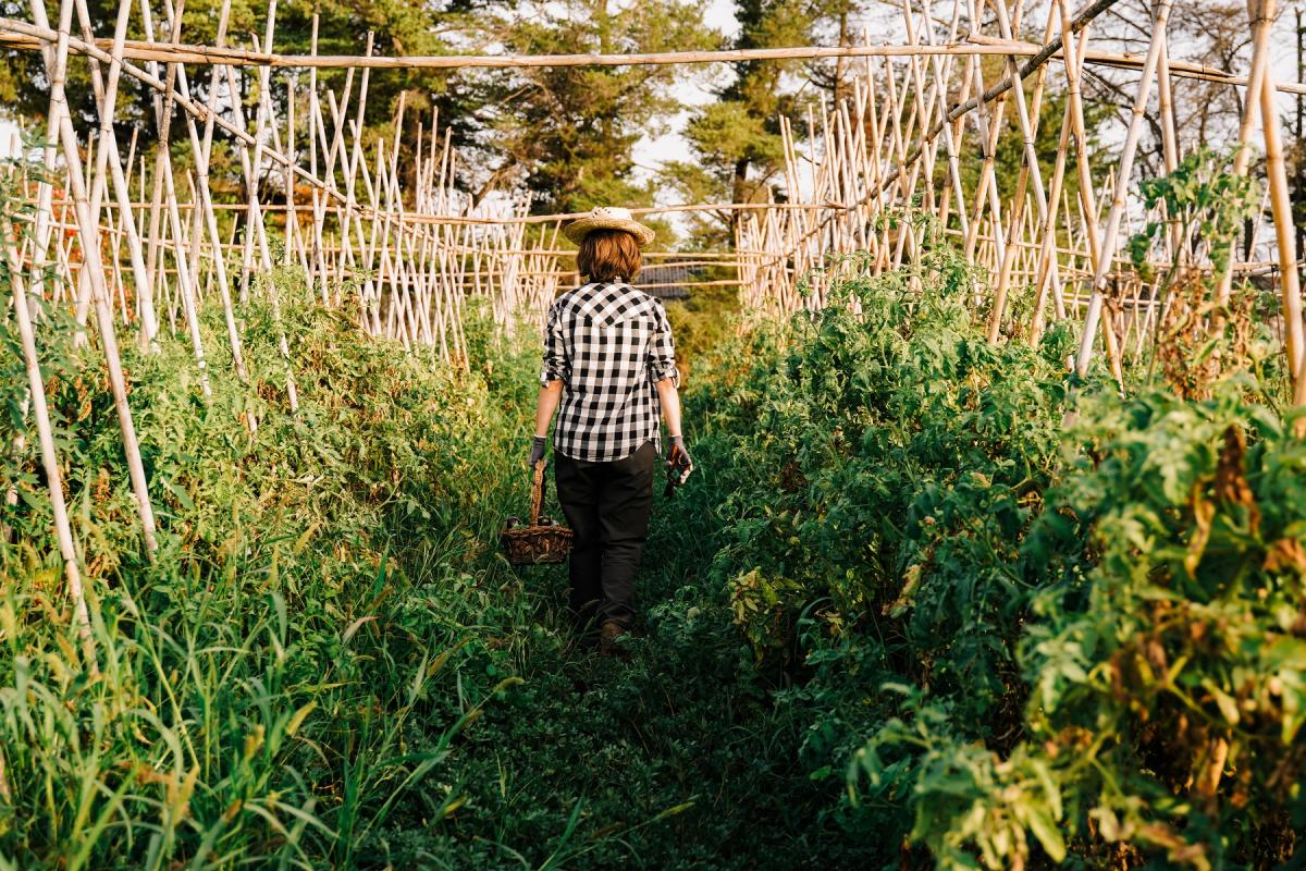 El 6,3% de la población activa buscó empleo fuera del sector agrario