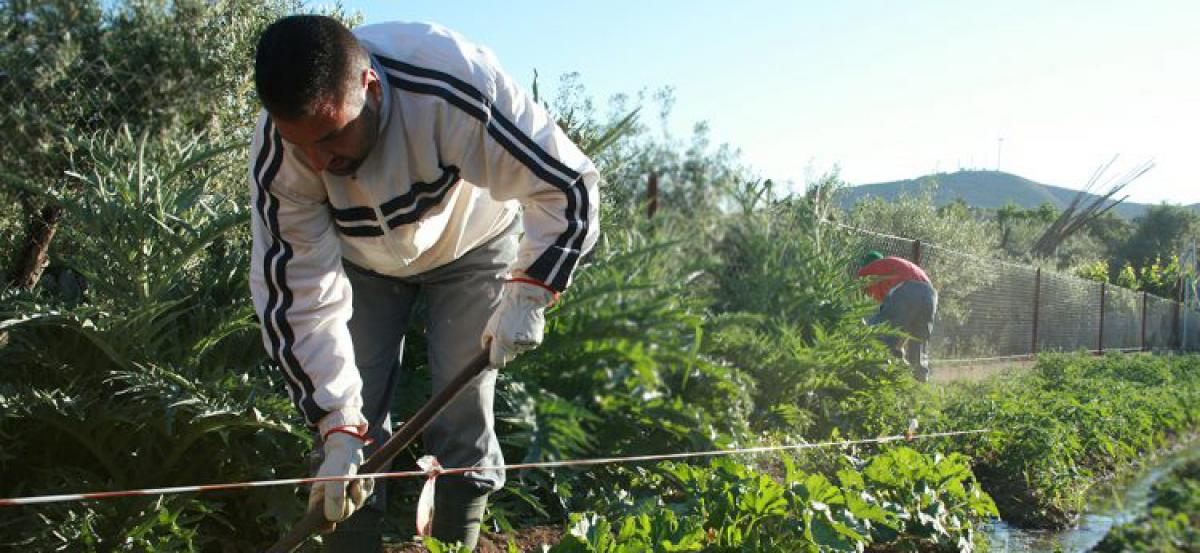 El paro se incrementó en octubre en 15 comunidades autónomas y en 35 provincias