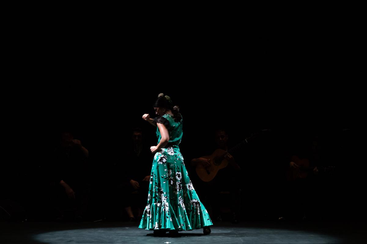 CCOOmps Flamenco, flamenco por Palestina (fotos: Gustavo Queipo de Llano)