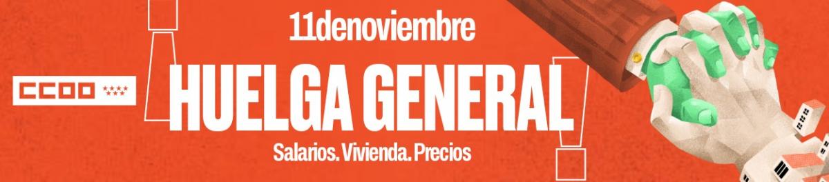 Huelga General 11N