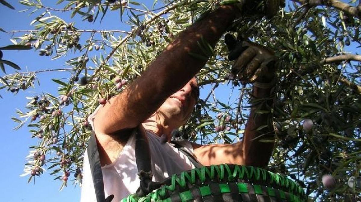 En febrero el paro aumentó en ocho comunidades autónomas