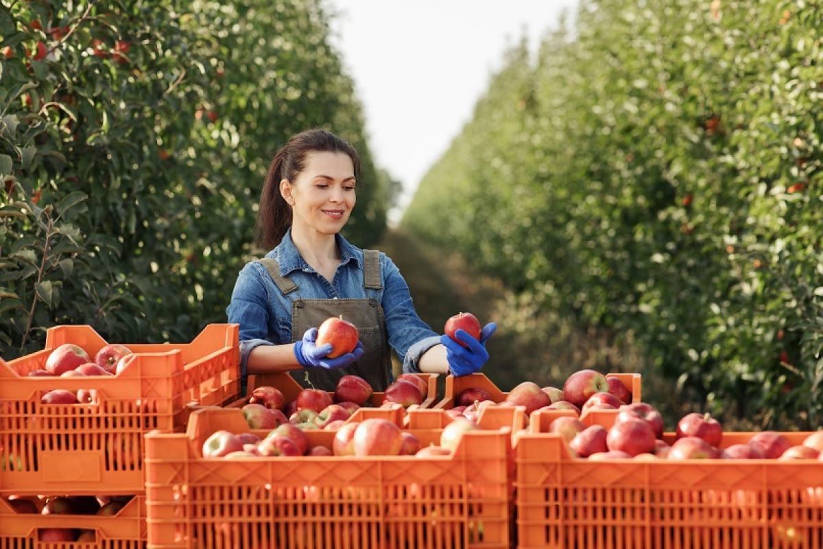 Son indefinidos el 55% de los contratos que se firmaron el mes pasado