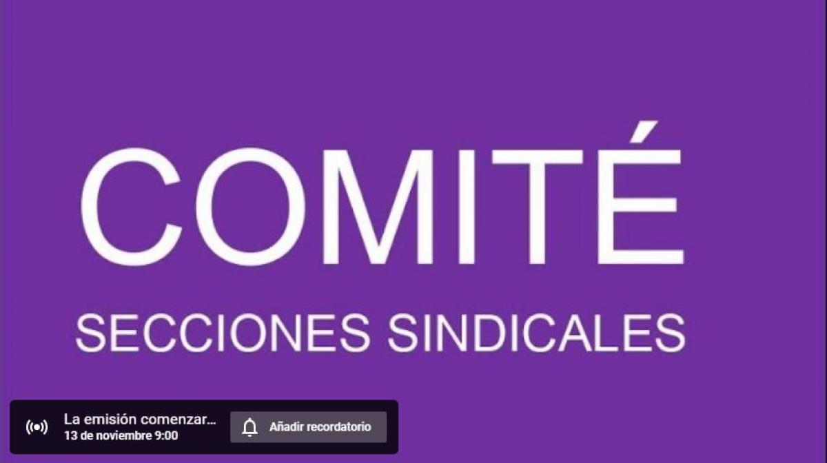 Retransmisión en directo por streaming 13 de noviembre a partir de las 9.00 h.