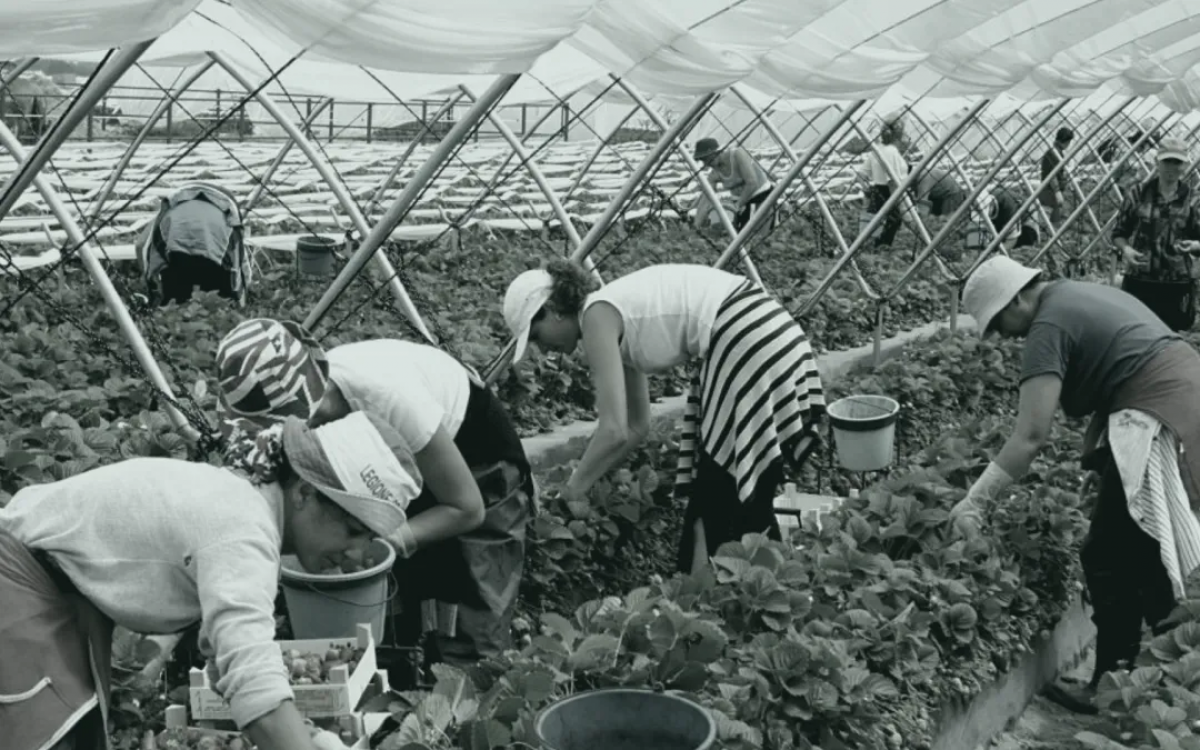 Los pagos directos deben estar condicionados al respeto de las condiciones laborales y de empleo