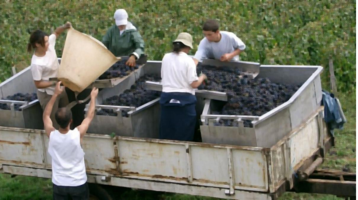 Se llega a un acuerdo sobre el convenio del campo