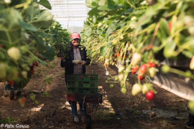 Fotografía de Patri García