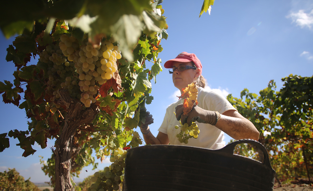 Durante el periodo 2014-2017 se crearon 45.982 nuevos empleos ocupados por mujeres en la industria y el campo