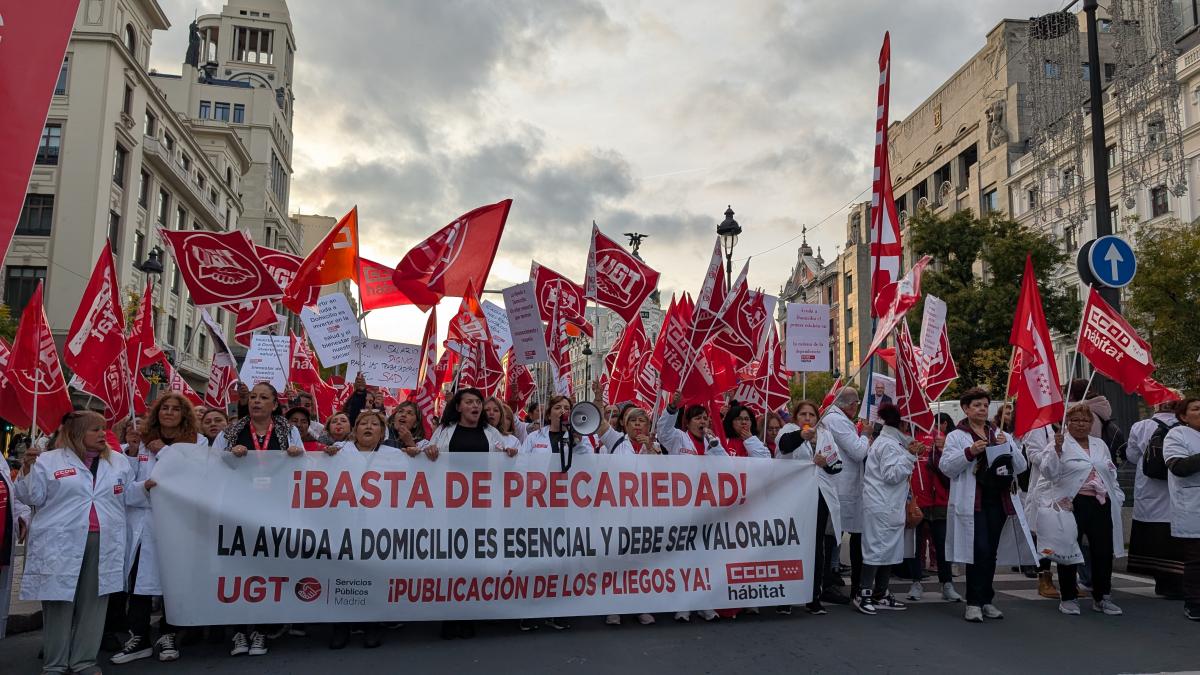 El sector de Ayuda a Domicilio recorre las calles de Madrid para exigir la actualizacin de pliegos de condiciones.