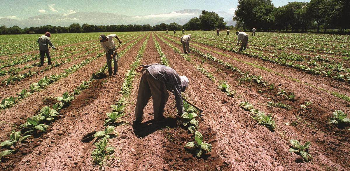 En doce meses se crearon 4.900 empleos