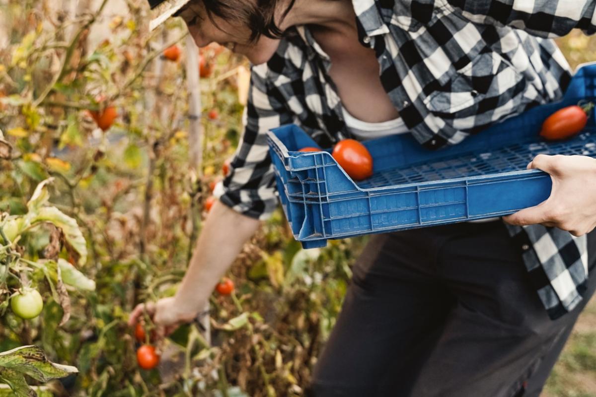 Son mujeres el 23,27% de las personas que se han quedado sin subsidio