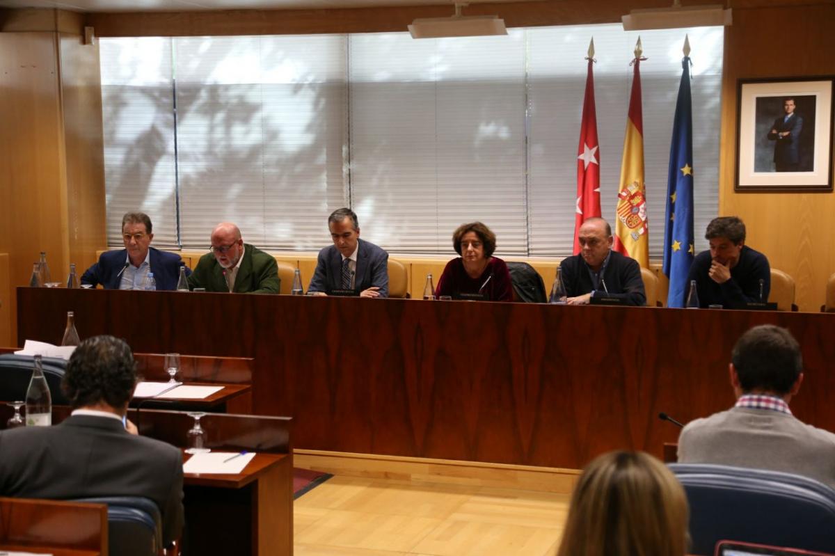 Jaime Cedr�n comparece en la Asamblea de Madrid
