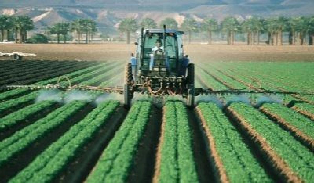 Agricultor tractor pequeño