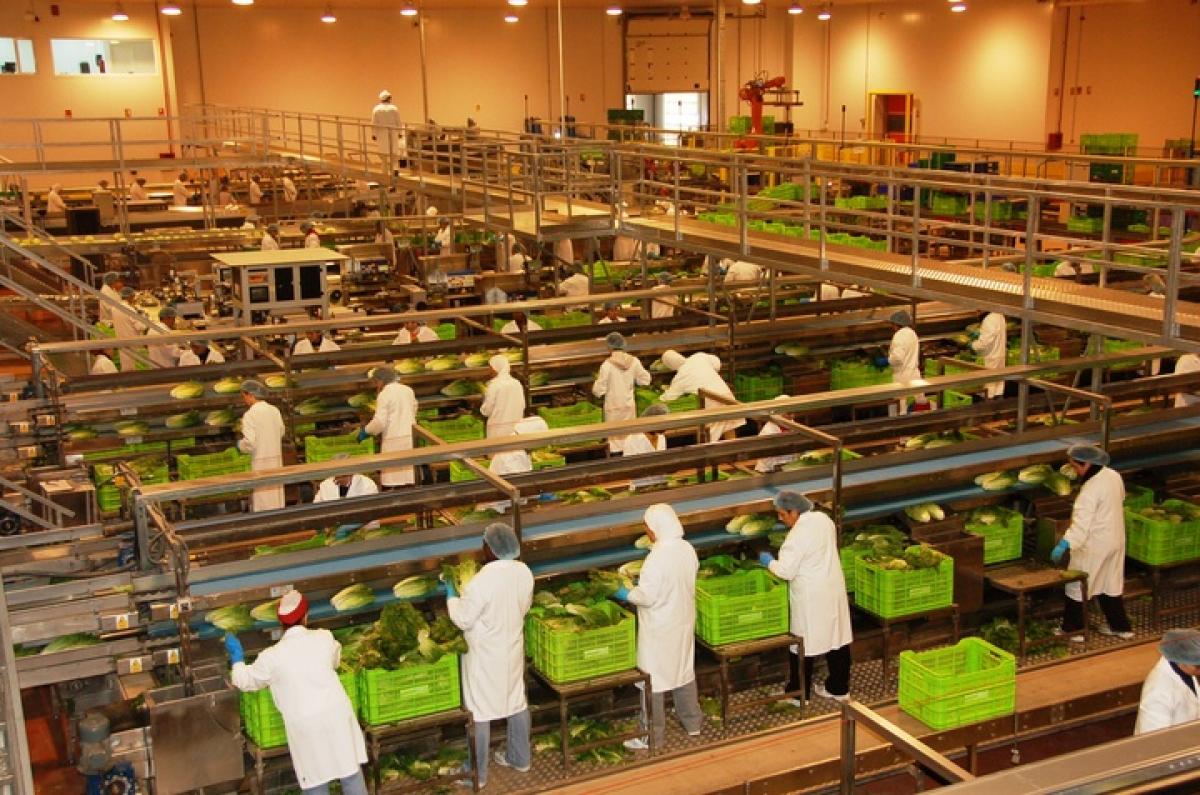 Retirada de los ERTEs del Grupo Bonnysa