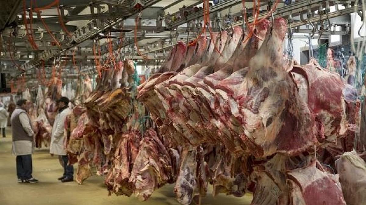 Imagen de un matadero